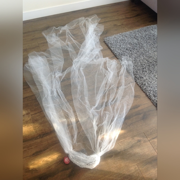 Wedding Dress and veil - Picture 7 of 11